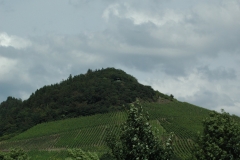 Mosel